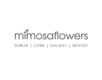 Mimosa Flowers - 15% off*
