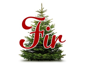 Fir Tree - 10% off all online orders*